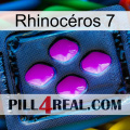Rhinocéros 7 04